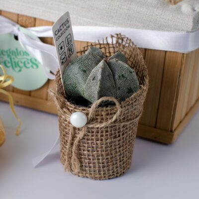 Bonete de Obispo con Cubremaceta Decorativo